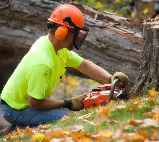 tree services Roscoe